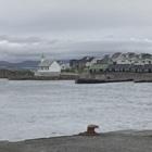 Nolsoy på Færøerne på kør-selv ferie