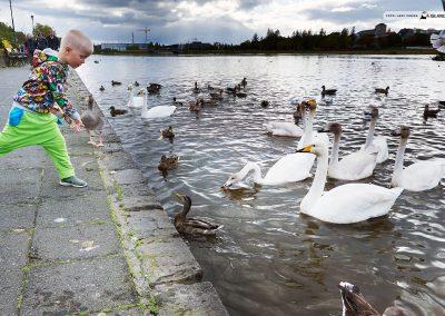Ferie og rejser til Island og Færøerne