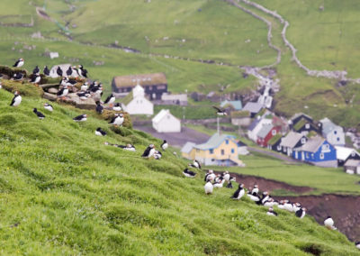 Besøg Mykines - aktiviteter på Færøerne på jeres kør-selv ferie og bilferie.