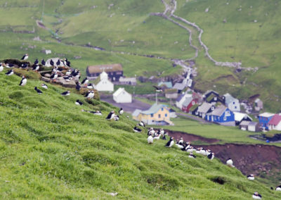 Eksklusiv aftentur og aktiviteter på Færøerne.