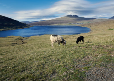 Trælanipa, Lake Above The Ocean hike og aktiviteter på Færøerne.